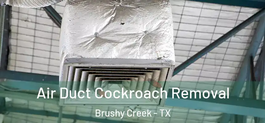  Air Duct Cockroach Removal Brushy Creek - TX