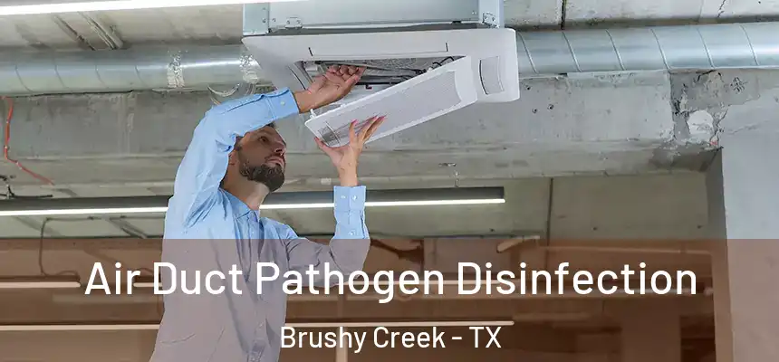  Air Duct Pathogen Disinfection Brushy Creek - TX
