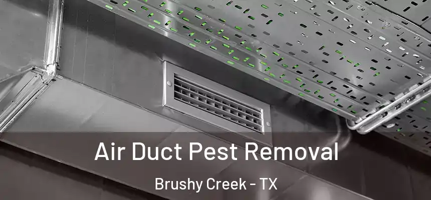 Air Duct Pest Removal Brushy Creek - TX