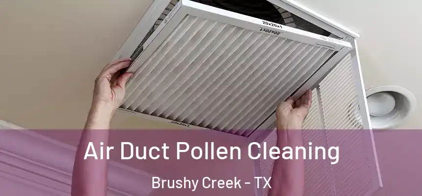 Air Duct Pollen Cleaning Brushy Creek - TX