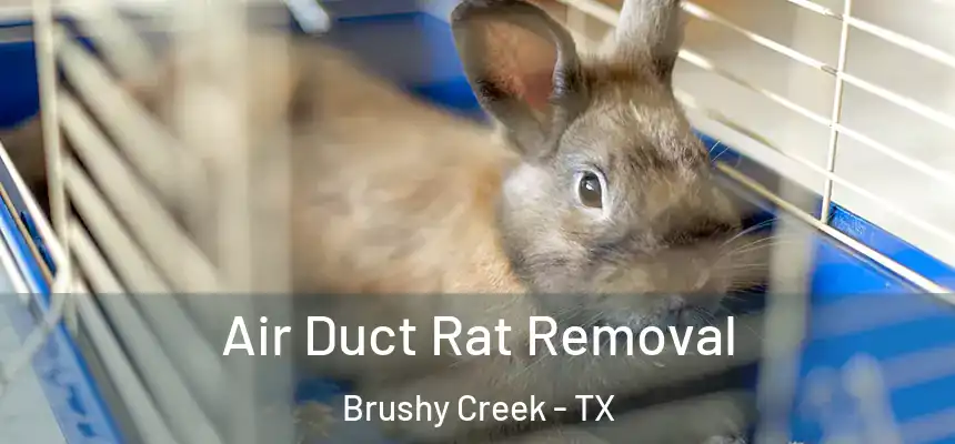 Air Duct Rat Removal Brushy Creek - TX