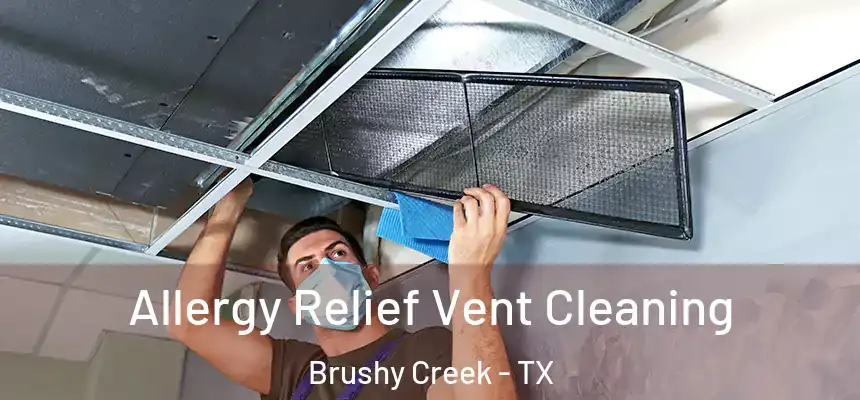  Allergy Relief Vent Cleaning Brushy Creek - TX