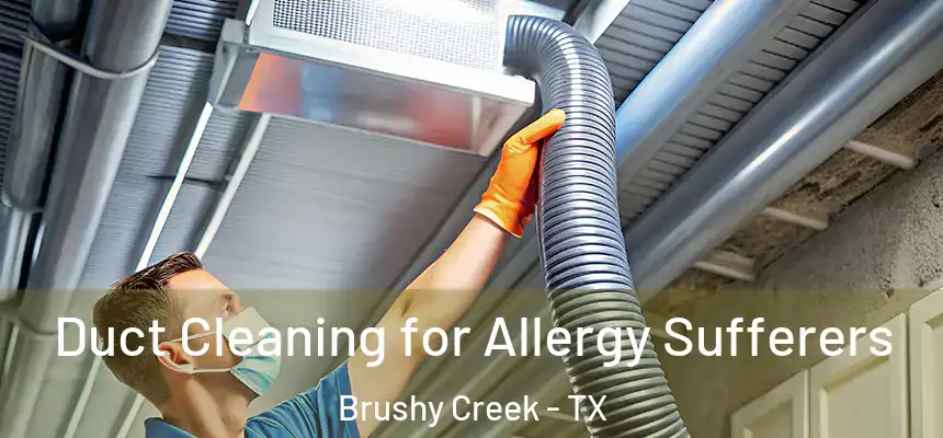  Duct Cleaning for Allergy Sufferers Brushy Creek - TX