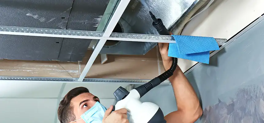 Our Air Duct Rodent Removal Services in Brushy Creek, TX