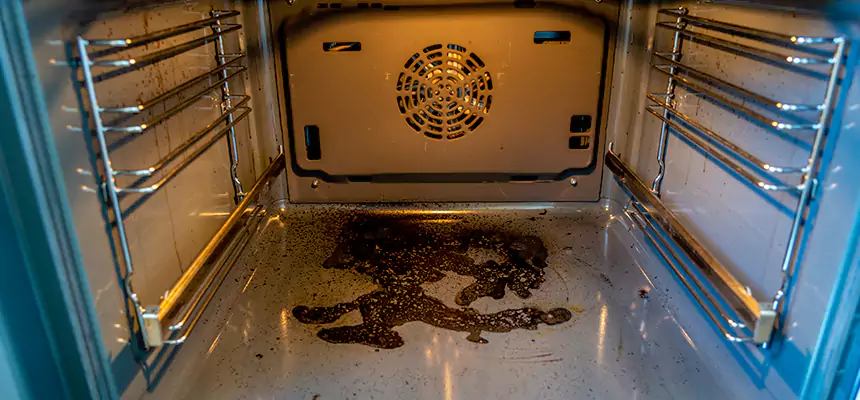 Our Dryer Vent Mold Cleaning Services in Brushy Creek, TX