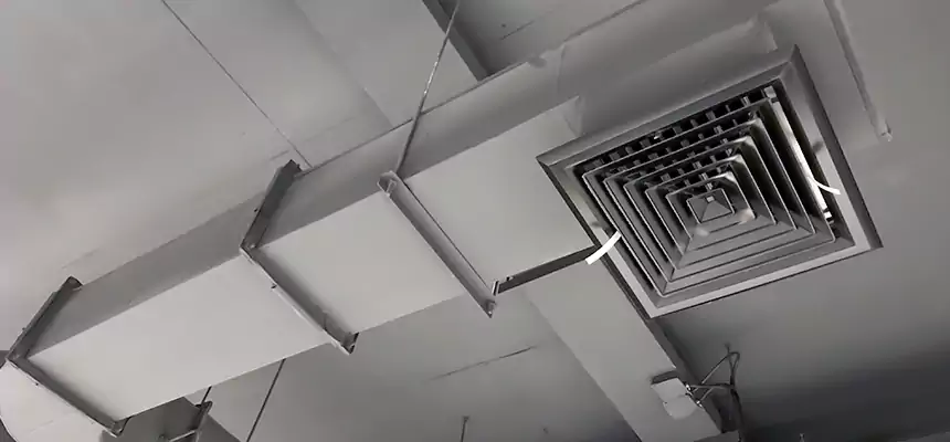 Our Pest Removal From Ducts Services in Brushy Creek, TX