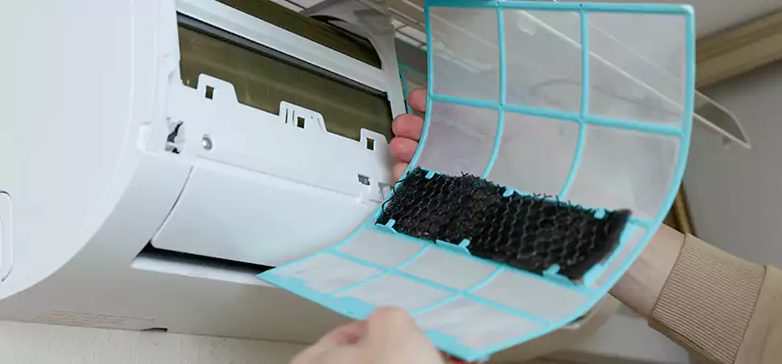 Gentle Ductwork Odor-Control Pet Dander Duct Cleaning in Brushy Creek, TX