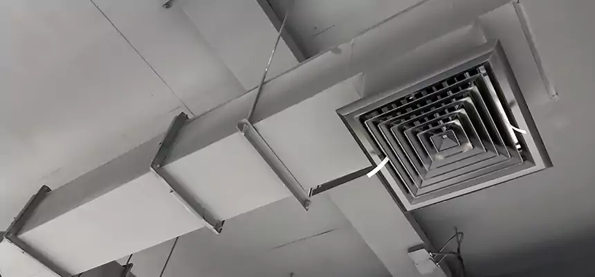 Our Rodent Droppings In Vents Services in Brushy Creek, TX