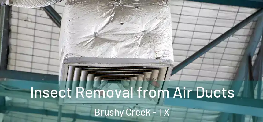  Insect Removal from Air Ducts Brushy Creek - TX