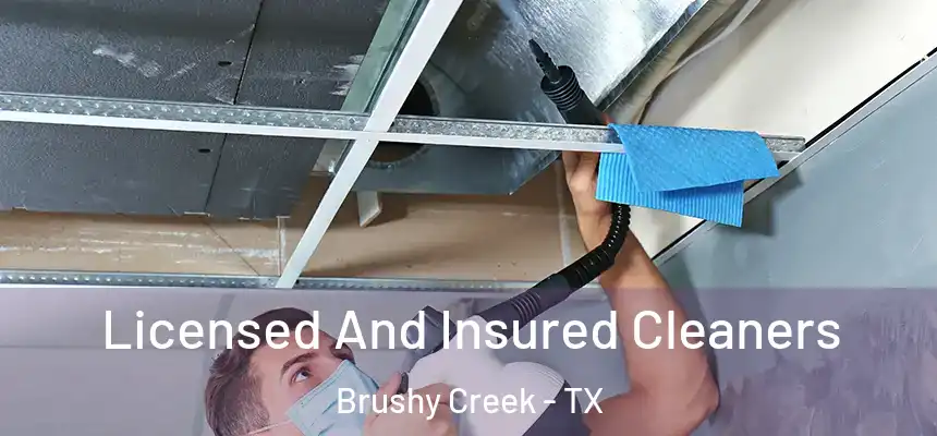  Licensed And Insured Cleaners Brushy Creek - TX