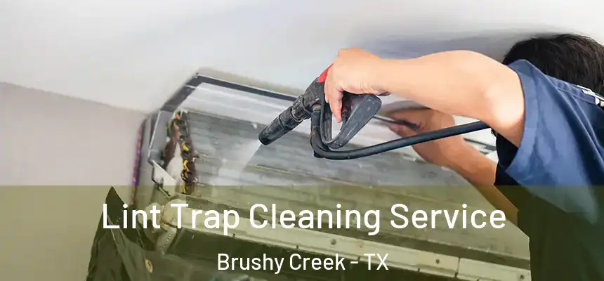 Lint Trap Cleaning Service Brushy Creek - TX