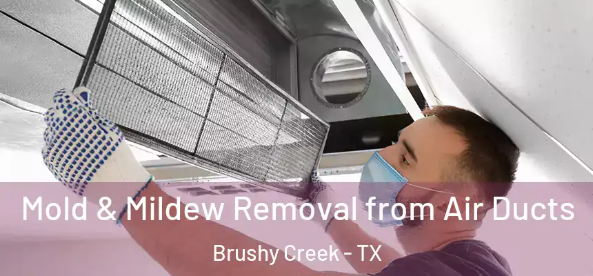 Mold & Mildew Removal from Air Ducts Brushy Creek - TX