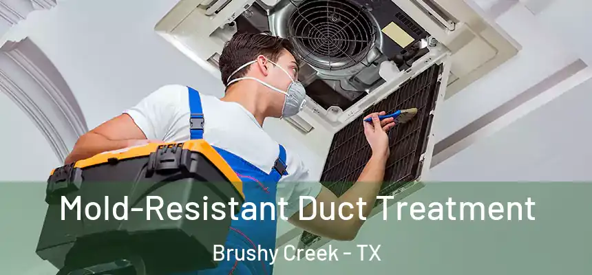  Mold-Resistant Duct Treatment Brushy Creek - TX