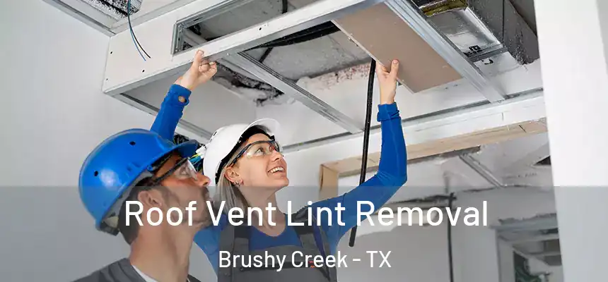  Roof Vent Lint Removal Brushy Creek - TX