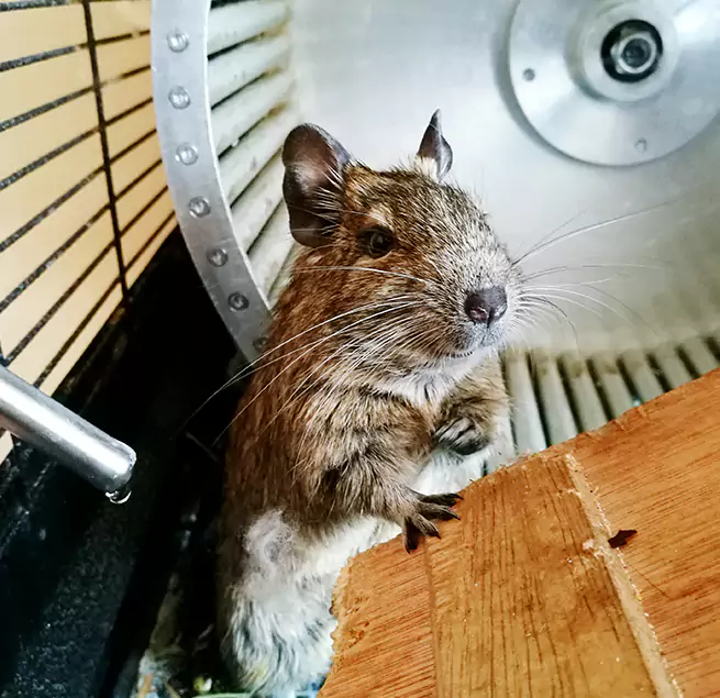 Why Homeowners & Businesses Trust Us Brushy Creek, TX?