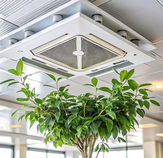 Why Homeowners & Businesses Trust Us in Brushy Creek, TX