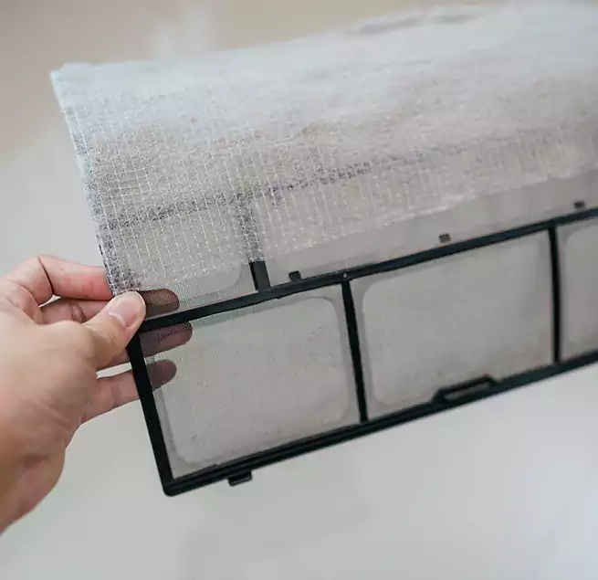 Why Homeowners & Businesses Trust Us in Brushy Creek, TX?