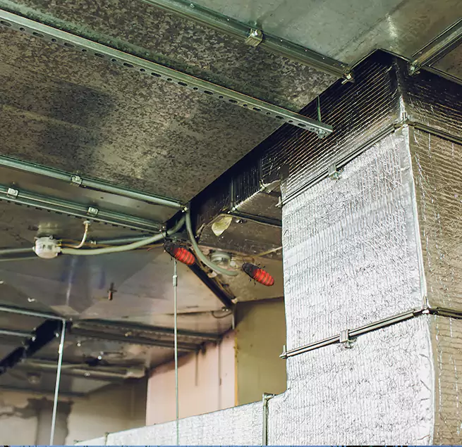 Why Homeowners & Businesses Trust Us Brushy Creek, TX?