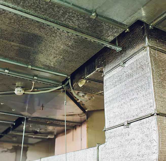 Why Homeowners & Businesses Trust Us in Brushy Creek, TX?