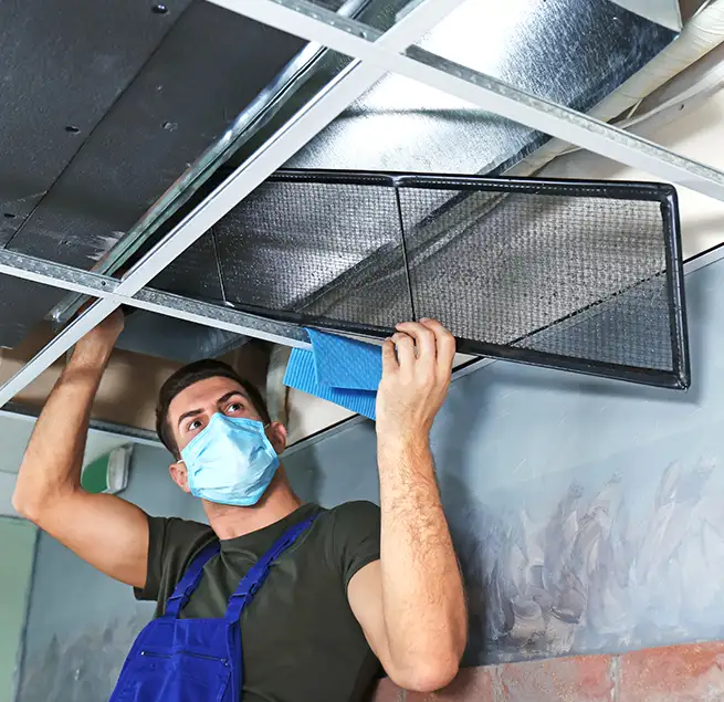 Why Homeowners & Businesses Trust Us in Brushy Creek, TX?